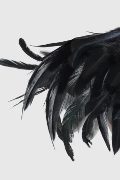 BABEYOND Shawls & Scarves|Retro 1920S Stunning Feather Shawl Black